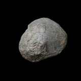 #h666# Byzantine Trachy coin from Latin Occupation of Constantinople 1204-1261