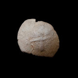 #h836# Byzantine Trachy coin from Latin Occupation of Constantinople 1204-1261