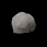 #h096# Byzantine Trachy coin from Latin Occupation of Constantinople 1204-1261