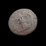 #p509# Roman provincial bronze coin issued by empress Plautilla from 202-205 AD