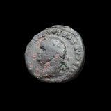 #M957# Roman limes denarius coin of Titus from 79-80 AD