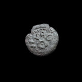 #q308# Medieval 	Wallachia copper coin of Radu I from 1377-1383 AD