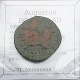 #p265# Roman provincial bronze coin of Augustus from Nemausus from 10-14 AD