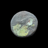 #q456# Roman Republican coin of M. Fulvius and C. Otacilius from 44-36 BC
