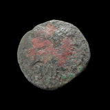 #p265# Roman provincial bronze coin of Augustus from Nemausus from 10-14 AD