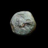 #q518# Anonymous Iberian Greek City Issue Bronze Coin of Iniesta from 120-20 BC