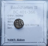#q504# Greek fouree 1/16 Shekel Phoenician coin of Baalshallim from 401-366 BC
