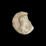 #g827# Roman silver denarius coin of Geta from 203 AD