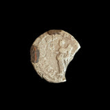 #g827# Roman silver denarius coin of Geta from 203 AD