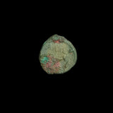 #h108# Anonymous Greek City Issue coin of Alopekonnesos from 400-300 BC