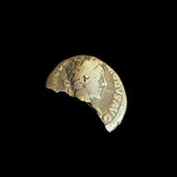 #g672# Roman silver denarius coin of Comomdus from 177-192 AD