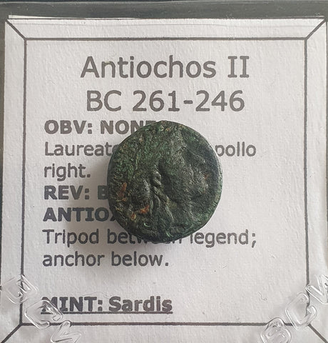 #k979# Greek Seleucid Bronze Coin of Antiochus II from 261-246 BC