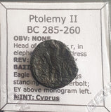 #g762# Greek bronze ae19 coin from Ptolemaic King Ptolemy II, 285-260 BC