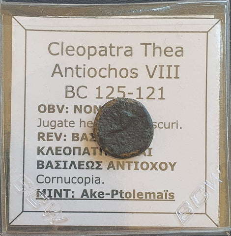 #e360# Greek Seleucid coin of Cleopatra Thea & Antiochus VIII from 125-121 BC
