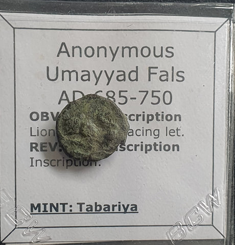 #e009# Anonymous Umayyad Fals coin from Tabariya minted between 685-750 RARE!