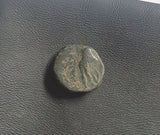 #e429# Greek Seleucid ae11 coin of Antiochos III, minted between 223-187 BC.