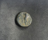 #e429# Greek Seleucid ae11 coin of Antiochos III, minted between 223-187 BC.