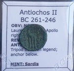 #k980# Greek Seleucid Bronze Coin of Antiochus II from 261-246 BC