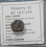 #g791# Greek Ptolemaic coin of King Ptolemy IV, 163-145 BC