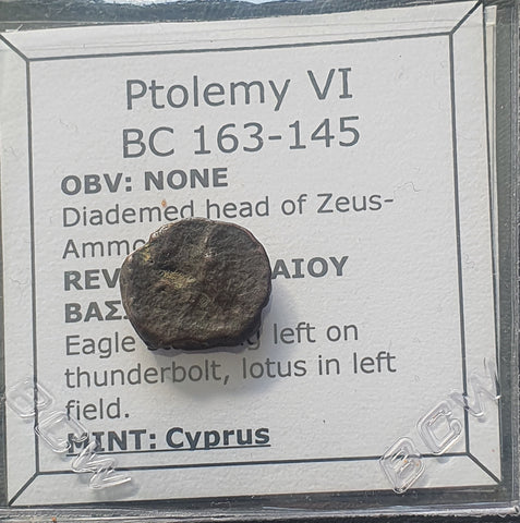 #g791# Greek Ptolemaic coin of King Ptolemy IV, 163-145 BC