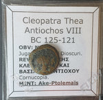 #e252# Greek Seleucid coin of Cleopatra Thea & Antiochus VIII from 125-121 BC