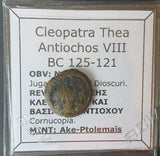 #e252# Greek Seleucid coin of Cleopatra Thea & Antiochus VIII from 125-121 BC