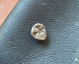 #L595# Anonymous Greek silver Diobol coin of Phokaia, 521-478 BC