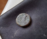 #e664# Greek Seleucid ae12 coin of Antiochos III, minted between 223-187 BC.