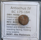 #e042# Greek bronze ae13 coin from Seleucid King Antiochus IV, 175-164 BC