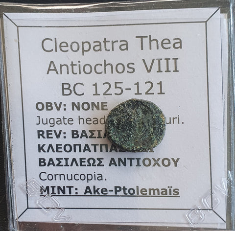 #e401# Greek Seleucid coin of Cleopatra Thea & Antiochus VIII from 125-121 BC