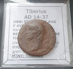 #M239# Roman provincial bronze coin of Tiberius from 14-37 AD (Thapsus)