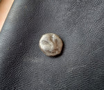 #M250# Anonymous silver Greek Hemiobol from Halikarnassos or Kasolaba, 400 BC