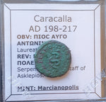 #M405# Roman provincial bronze coin of Caracalla from 198-217 AD (Marcianopolis)