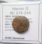 #M467# Sicilian Greek coin of Hieron II from Syracuse, 275-215 BC.