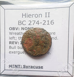 #M467# Sicilian Greek coin of Hieron II from Syracuse, 275-215 BC.