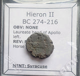 #M465# Sicilian Greek coin of Hieron II from Syracuse, 274-216 BC.