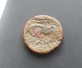 #M467# Sicilian Greek coin of Hieron II from Syracuse, 275-215 BC.