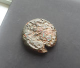 #M449# Sicilian Greek coin of Dionysios I from Syracuse, 405-367 BC.