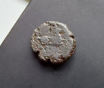 #M465# Sicilian Greek coin of Hieron II from Syracuse, 274-216 BC.