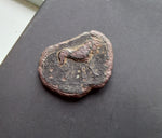 #M531# Anonymous Iberian Greek City Issue Bronze Coin of Castulo from 200-100 BC