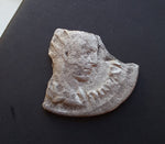 #M776# Roman silver Antoninianus coin of Philip I from 245 AD