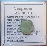 #M766# Roman limes denarius coin of Vespasian from 80-81 AD