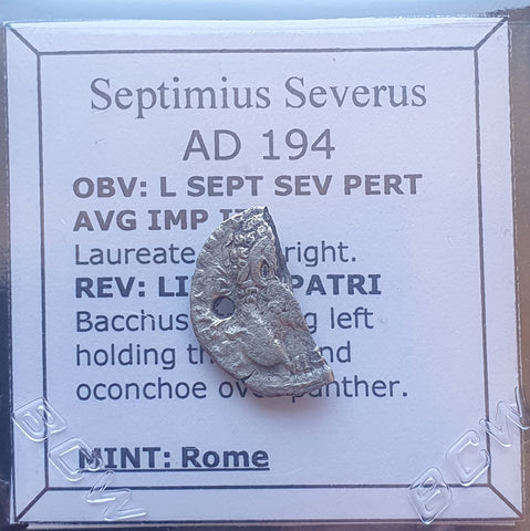 #M745# Roman silver denarius coin of Septimius Severus from 194 AD