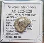 #M773# Roman silver denarius coin of Severus Alexander from 222-228 AD