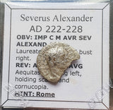 #M773# Roman silver denarius coin of Severus Alexander from 222-228 AD