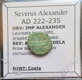 #M888# Roman Provincial coin of Severus Alexander from 222-235 AD