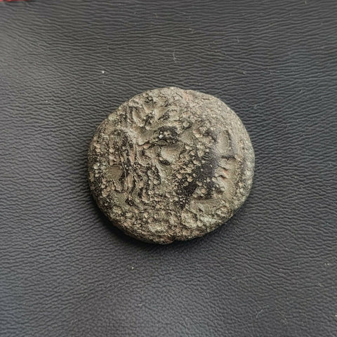 #i106# Anonymous Greek city issue bronze coin from Priapos 400-300 BC