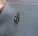 Authentic Ancient Scythian Bronze Trilobated Arrowhead, ca 600-300 BC