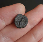 #g870# Greek Ptolemaic coin of King Ptolemy IX, 116-106 BC (Cornucopia)