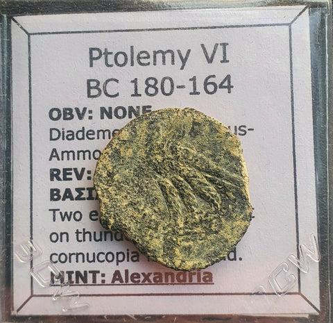 #k885# Greek bronze ae23 coin of Ptolemaic King Ptolemy VI from 180-164 BC